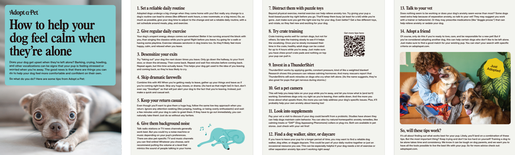 a sample adopter guidebook